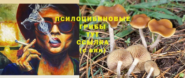 мдпв Наволоки