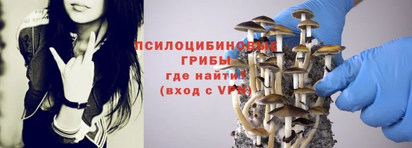 мяу мяу мука Армянск