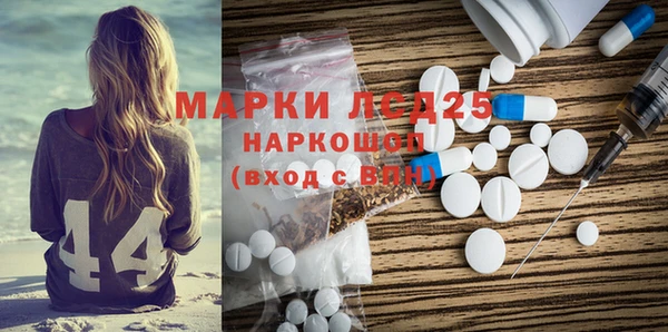 spice Аркадак